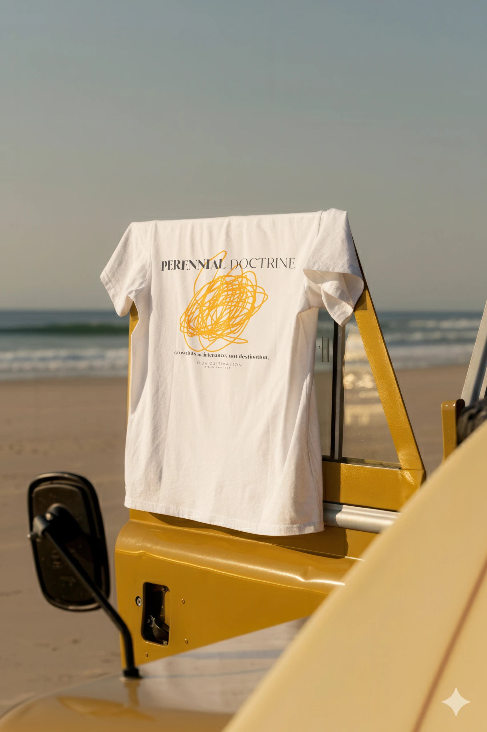 Perennial Doctrine! T-Shirt