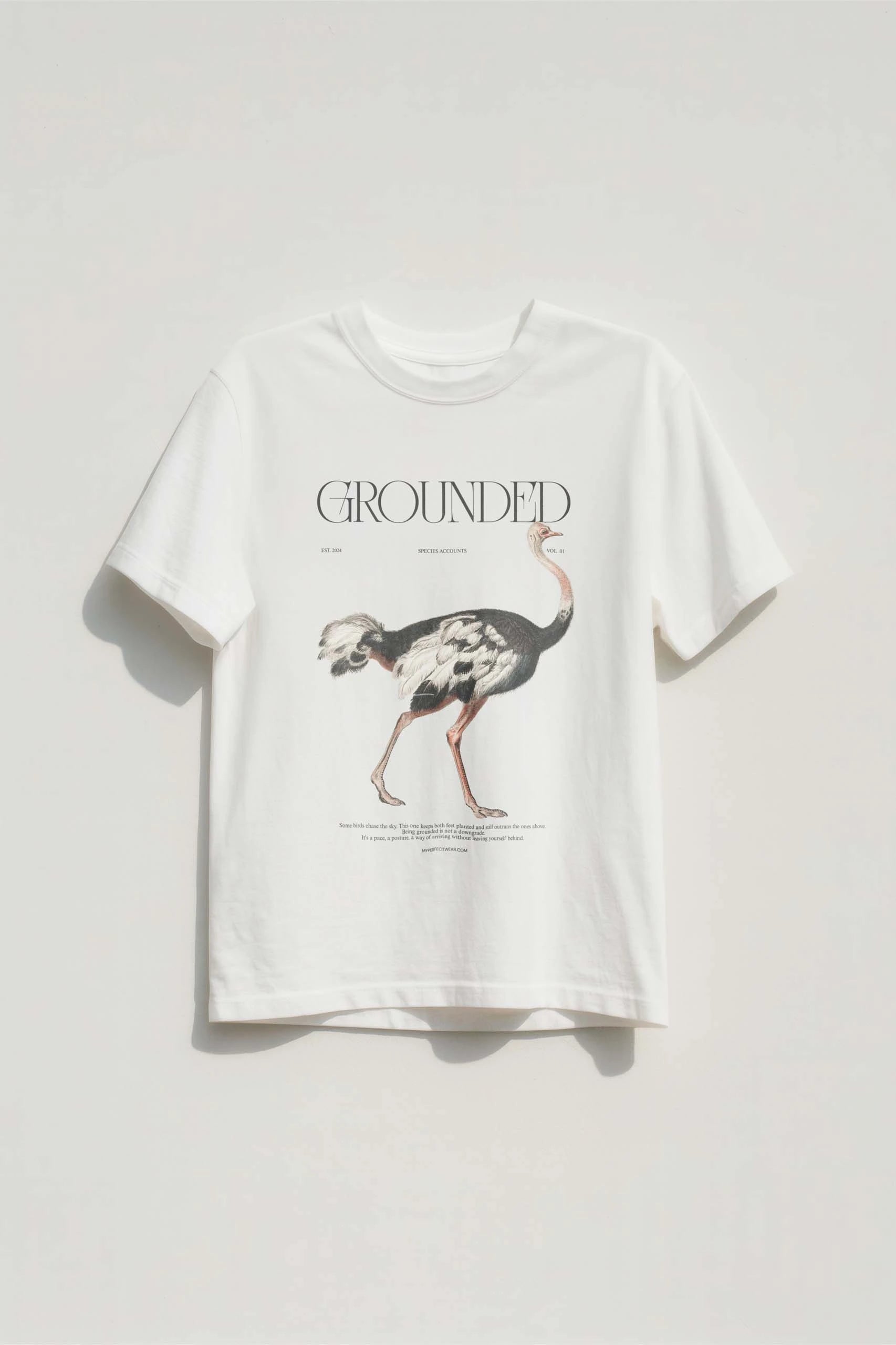 Grounded! Women's T-Shirt