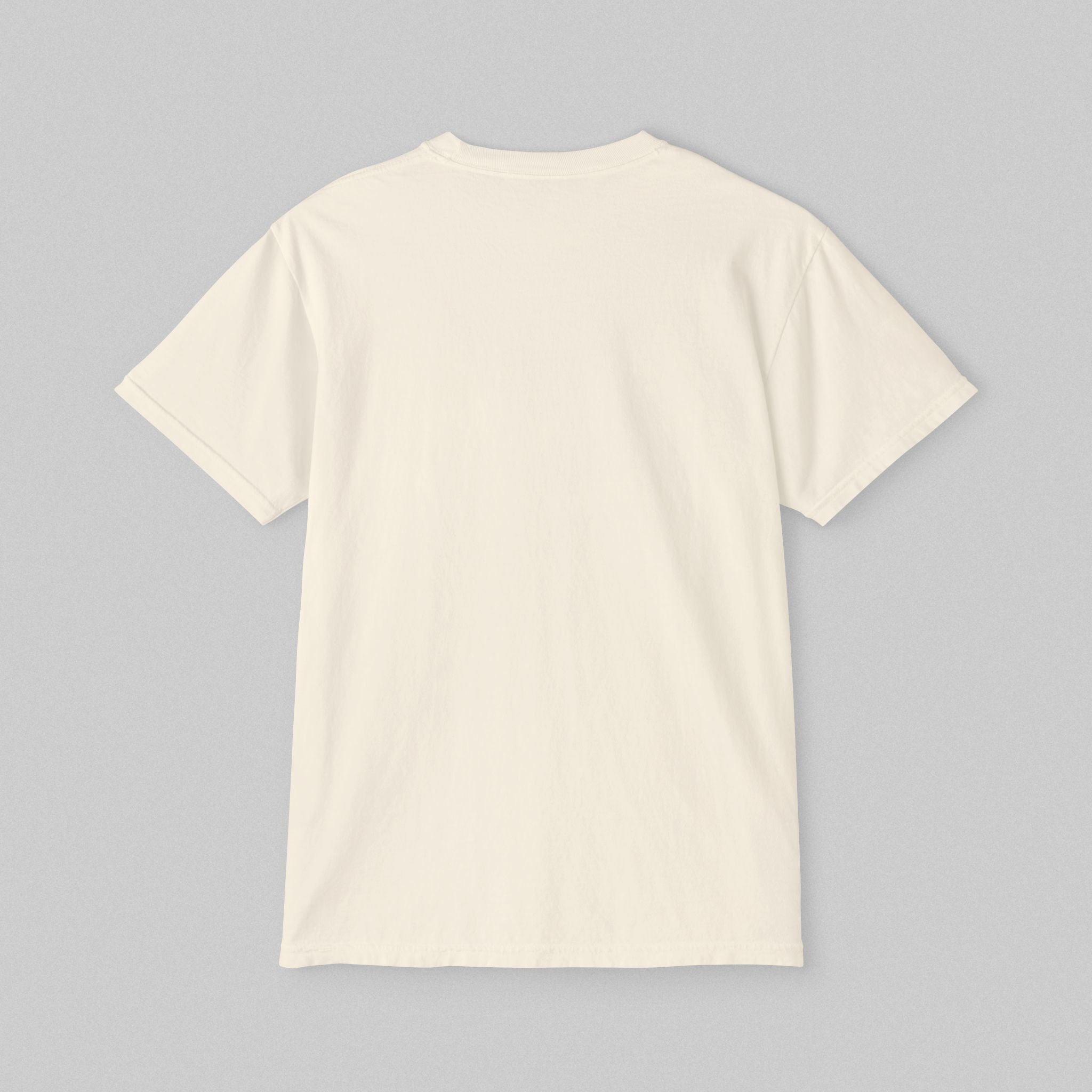 Anti-Delulu Pills! Pocket T-Shirt