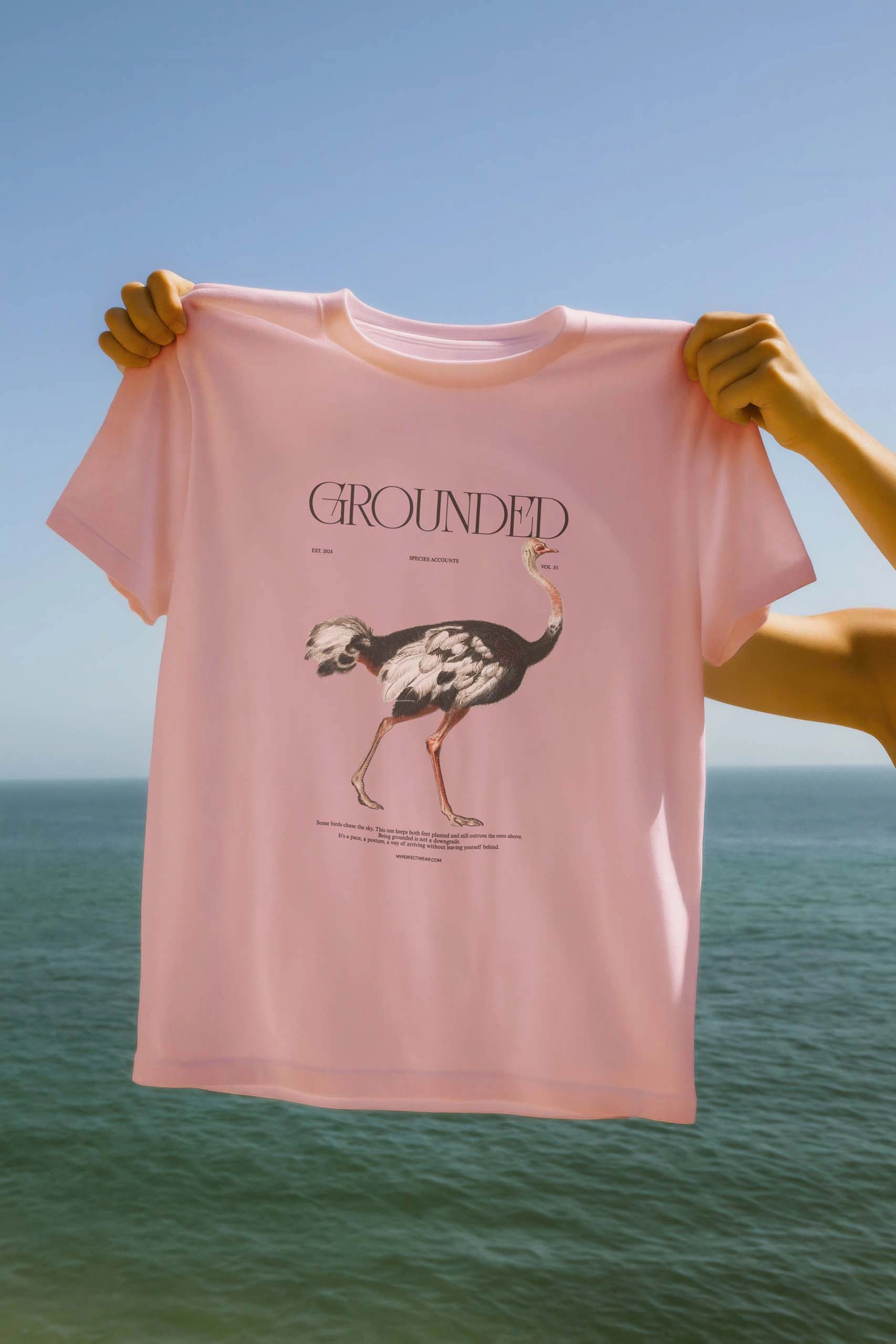 Grounded! Women's T-Shirt