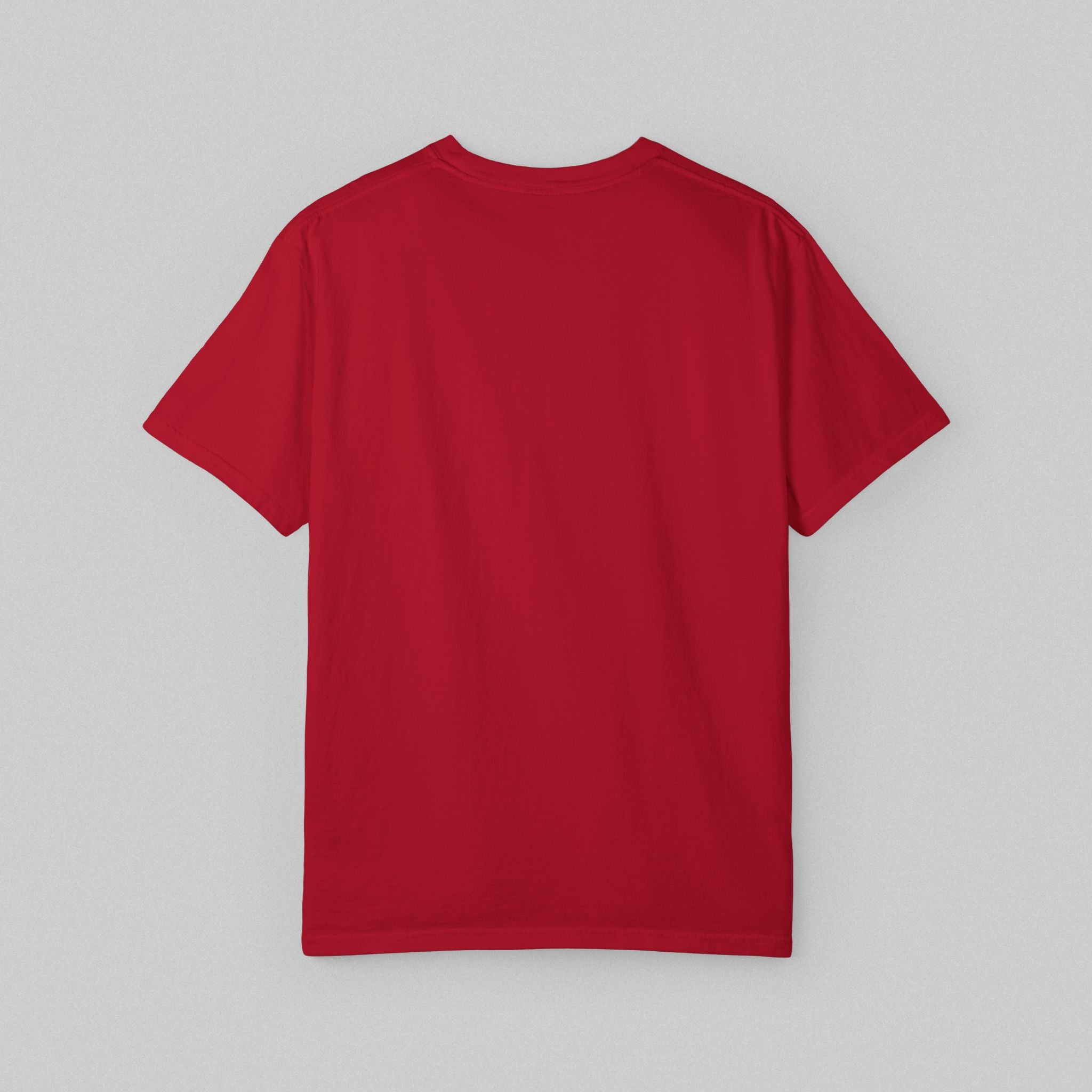 The Do Nothing Club! Women’s Comfort Color Garment Dyed T-shirt